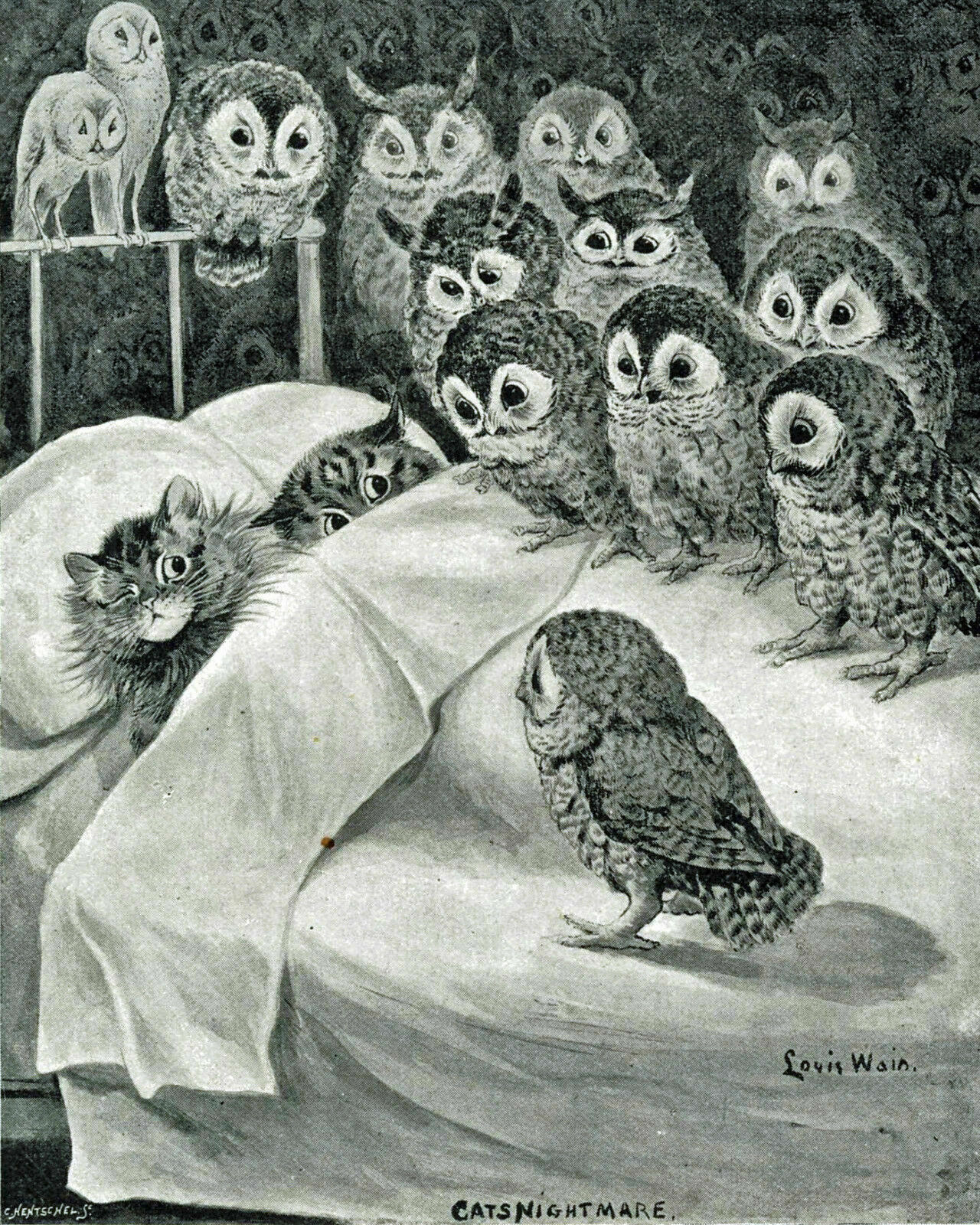Louis Wain Cat Nightmare Owl Bird  8 X 10  Art Print