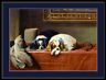 English Print Cavalier King Charles Spaniel Dog Dogs Puppies Vintage Art Poster